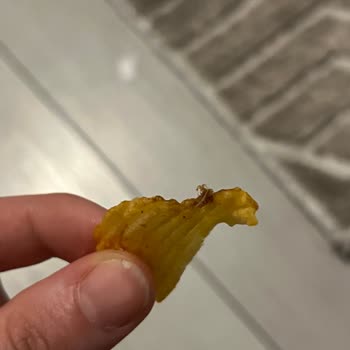 Yanık Ve Bozulmuş Cips Deneyimi