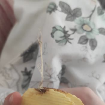 Yanık Ve Bozulmuş Cips Deneyimi