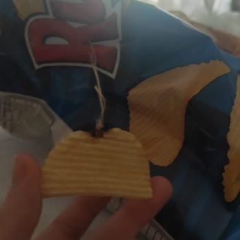 Yanık Ve Bozulmuş Cips Deneyimi