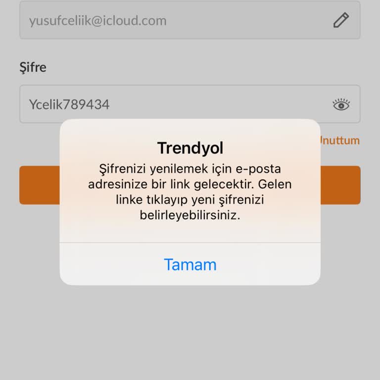 Trendyol'da Şifre Sıfırlama Sorunu