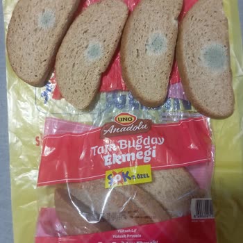 UNO Ekmek Küf Sorunu: Sahurda Hayal Kırıklığı