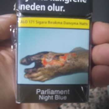 Parliament'ın Kalitesi Düşüyor: Tütün Dalı Ve Köz Sorunu