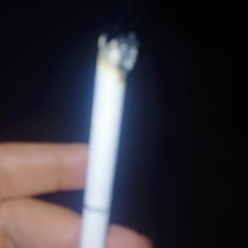 Parliament'ın Kalitesi Düşüyor: Tütün Dalı Ve Köz Sorunu