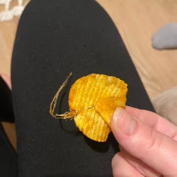 Cips Paketinden Çıkan Şok Edici Sürpriz
