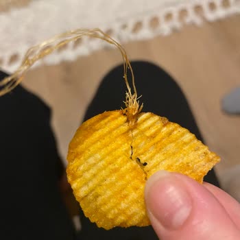 Cips Paketinden Çıkan Şok Edici Sürpriz