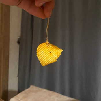 Cips Paketinden Çıkan Şok Edici Sürpriz