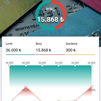 Denizbank Kredi Kartı Borcu Ve Kredi Puanı Sorunu