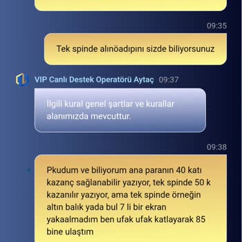 Kazançlarımın Silinmesi Ve Çekim Sorunları