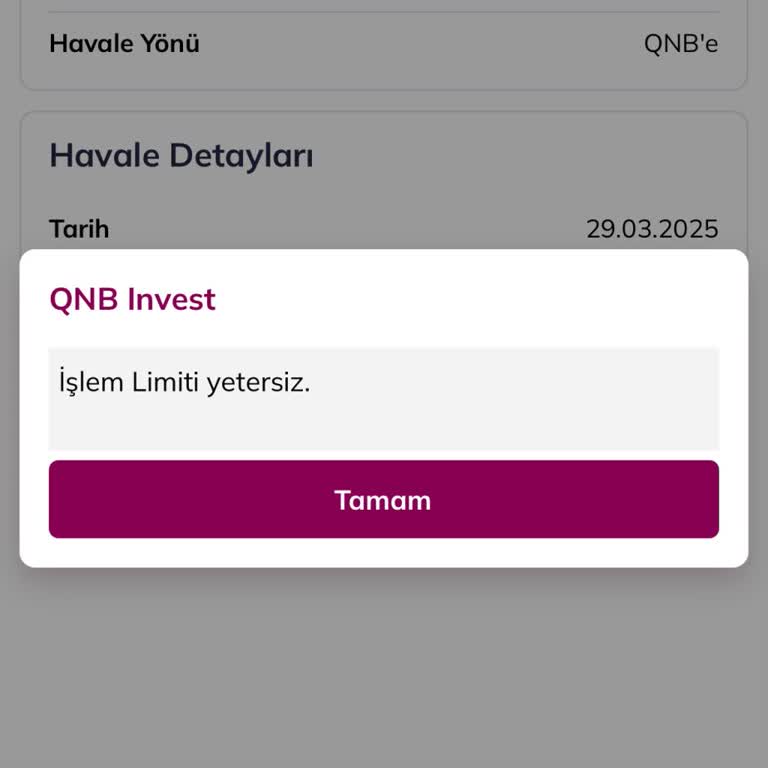 QNB Invest'ten Hesaba Para Transferi Sorunu