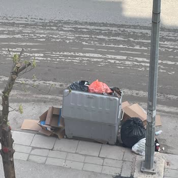 Tepebaşı'nda Çöp Konteyneri Eksikliği Sorunu