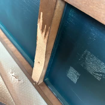 Enza Home'dan Gelen Hayal Kırıklığı: Hatalı Ve Eksik Ürünler