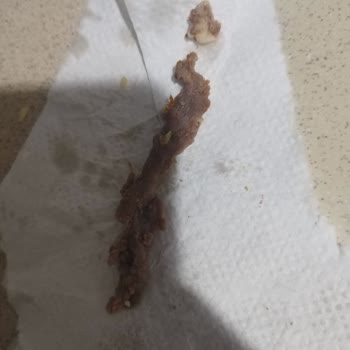 Kuşbaşılı Pide İçinden Çıkan Şok Edici Malzeme