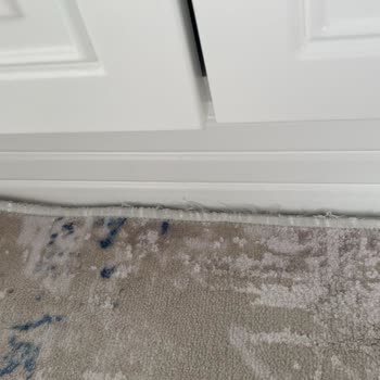 Halı Yıkama Fabrikasında Hayal Kırıklığı