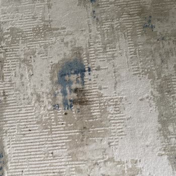 Halı Yıkama Fabrikasında Hayal Kırıklığı