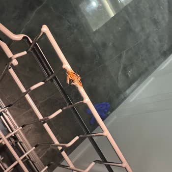 Paslanan Bulaşık Makinesi İçin Acil Değişim Talebi
