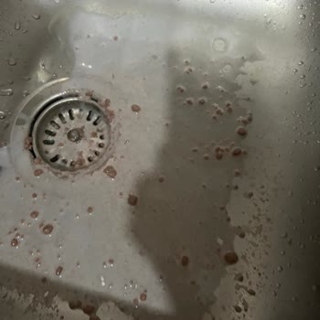 Herbalife Shake'de Kalite Düşüşü Ve Rahatsız Edici Koku