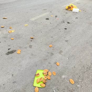 Fırında Yaşanan Sorunlar Ve Müşteri Memnuniyetsizliği