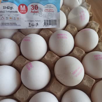 Tarihi Geçmiş Yumurta Skandalı
