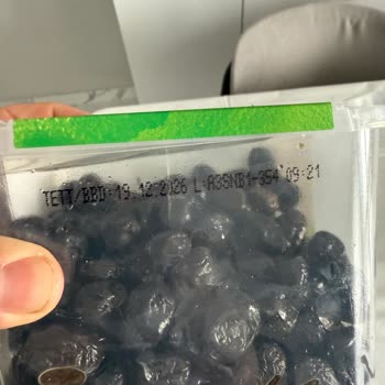 Kuru Ve Tuzlu Zeytin Hayal Kırıklığı