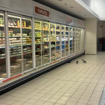 Migros'ta Hijyen Sorunu: Kuşlar Ve Ürün Teması