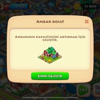 Ambar Sorunu: Ürün Alımında Engeller