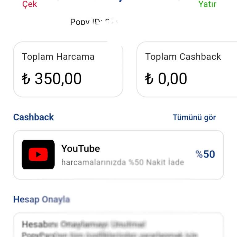 Havale Krizi: Param Hala Yok!