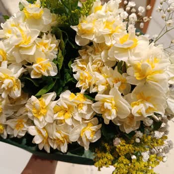 Yanlış Adres Ve İletişim Eksikliği: Rezervasyon Mağduriyeti