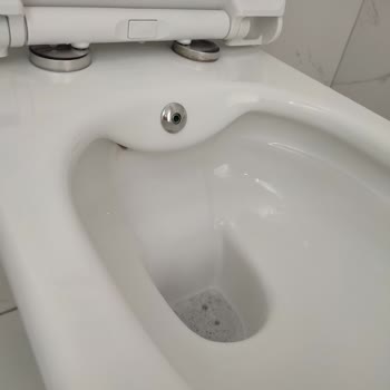 Güral Vit Klozetin Küf Sorunu Ve Etkisiz Temizleme