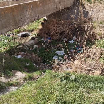 Kırşehir Belediyesi Bağbaşı Mahallesi'nde Irmak Kirliliği Alarm Veriyor!