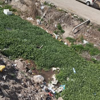 Kırşehir Belediyesi Bağbaşı Mahallesi'nde Irmak Kirliliği Alarm Veriyor!