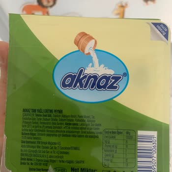 Tost Peyniri Kabusu: Son Tüketim Tarihi Geçmemiş Üründe Küf Sorunu
