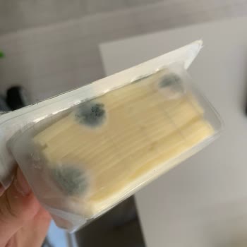 Tost Peyniri Kabusu: Son Tüketim Tarihi Geçmemiş Üründe Küf Sorunu