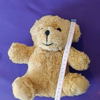 Beklentileri Karşılamayan Ayıcık Hayal Kırıklığı