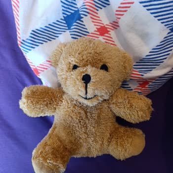 Beklentileri Karşılamayan Ayıcık Hayal Kırıklığı