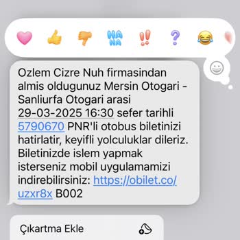 Seyahat Kabusu: İptal, Aktarma Ve Koku Dolu Yolculuk