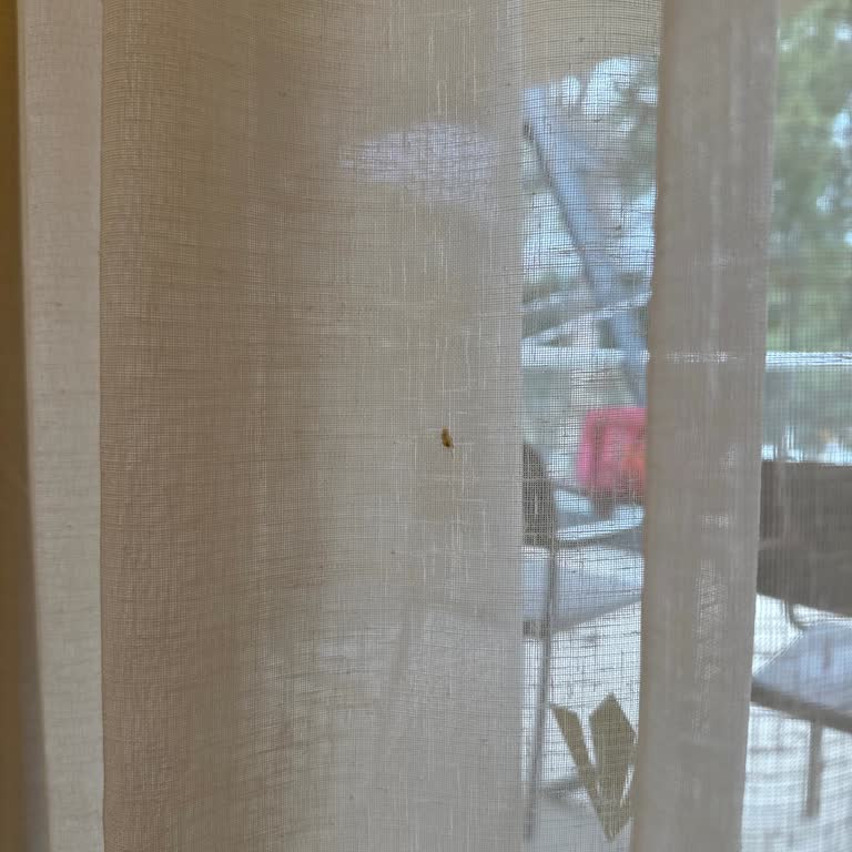 Rixos Sungate'de Hayal Kırıklığı: Temizlik Ve Hizmet Sorunları