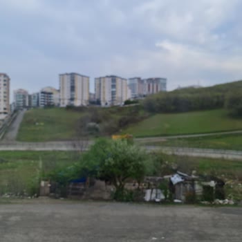 Samsung Note 20 Ultra Kamera Netleme Sorunu