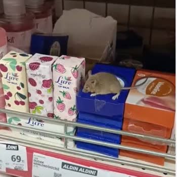 Bozuk Ürün Ve Reddedilen Değişim Talebi: A101'de Hayal Kırıklığı