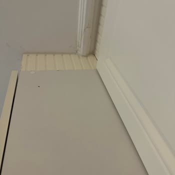 Tamamlanmayan Tadilat Ve Kayıp Ustalar
