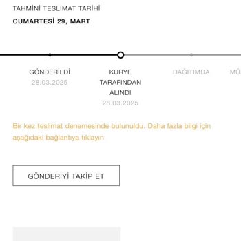 Zara Online'da Ertesi Gün Teslimat Hayal Kırıklığı