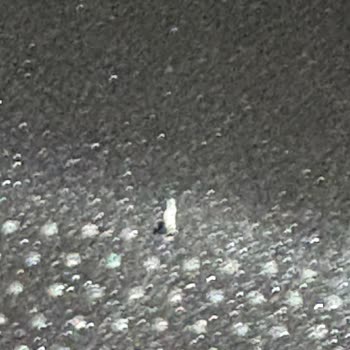 Tefal Tava Kalitesizliği Ve Soyulma Sorunu!