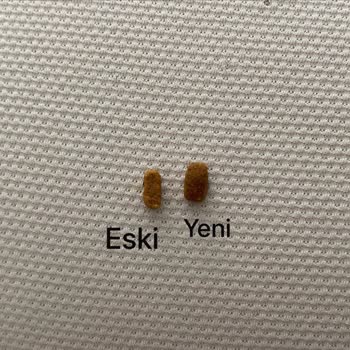 Trendyol Kötü Kokulu Kedi Maması Ve İade Sorunu!