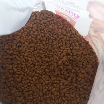 Trendyol Kötü Kokulu Kedi Maması Ve İade Sorunu!