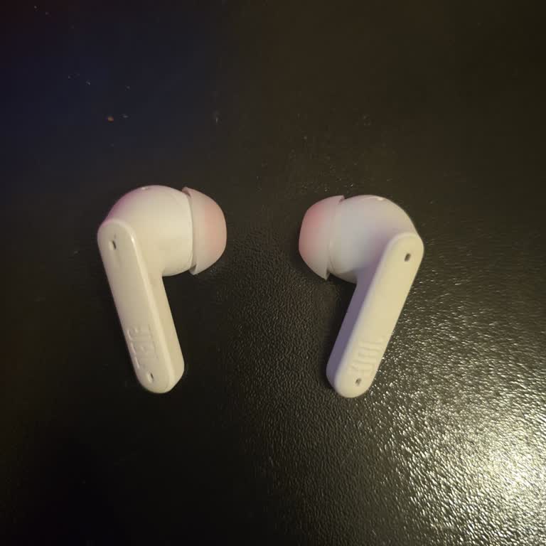 Kaybolan JBL Tune Flex Kutusu İçin Yardım Talebi