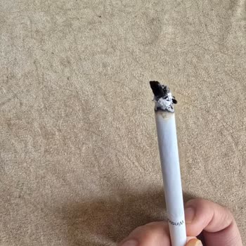 Winston Darkblue Long'da Kalite Sorunu: Tüketici Deneyimi Zedeleniyor