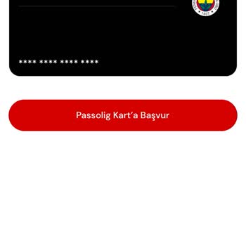 Passolig Kart Onayı Sorunu: Yurt Dışından Gelen Taraftarın Maça Katılımı Tehlikede