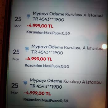 Yanlışlıkla Çekilen Üç Katı Ödeme Ve İade Talebi