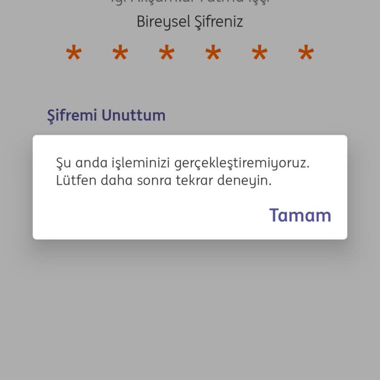 ING Mobil Bankacılık Erişim Sorunu Ve Müşteri Bilgilendirme Eksikliği