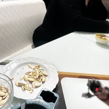 Sigara Kalitesindeki Düşüş: Uçuşan Küller Ve Temizlik Sorunları