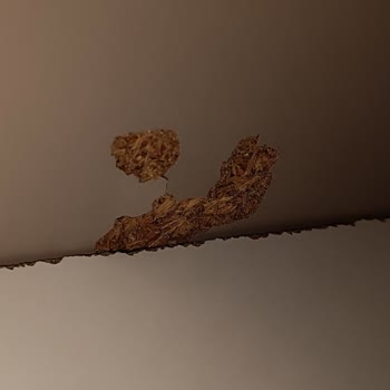 Kurulum Ekibi Ve İşçilikte Yaşanan Sorunlar